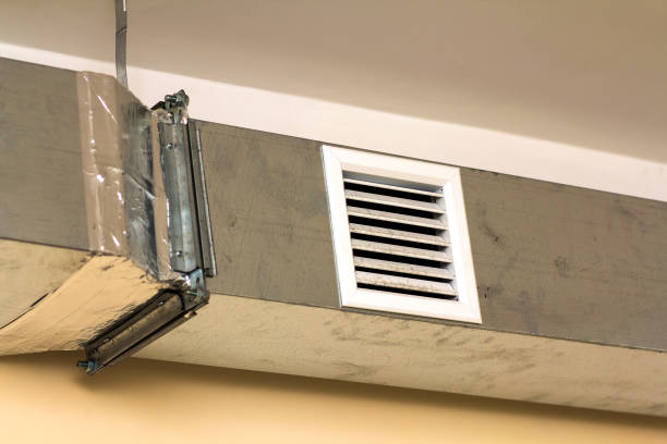 Air Duct Mold Removal in CA